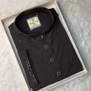 Premium Sequence Panjabi