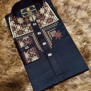 Stylish Panjabi